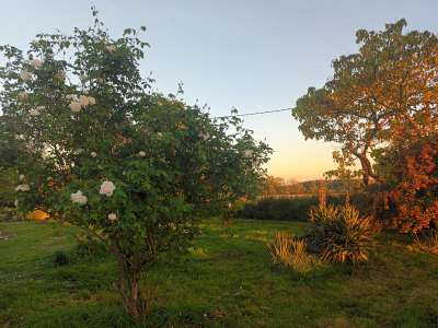 © Le jardin