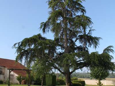 © Gîte du Château à Allas Bocage Gîte du Château à Allas Bocage Gîte du Château à Allas Bocage Gîte du Château à Allas Bocage Gîte du Château à Allas Bocage Gîte du Château à Allas Bocage Gîte du Château à Allas Bocage Gîte du Château à Allas Bocage Gîte du Château à Allas Bocage