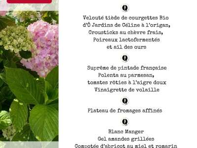 © Menu de saison estivale