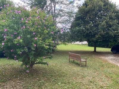 © parc ombragé