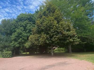 © Parc ombragé et parking